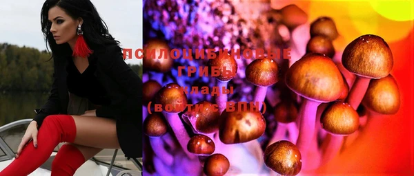бошки Новодвинск