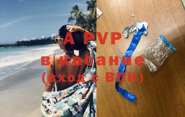 бошки Новодвинск