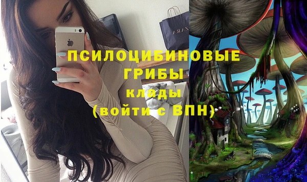 бошки Новодвинск