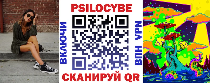 мега как зайти Суоярви Галлюциногенные грибы Psilocybine cubensis